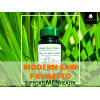 MODERN SAW PALMETTO DIETARY SUPPLEMENT FOR MEN HEALTH ( SAW PALMETTO 450 MG + ZINC 6 MG ) 30 HARD GELATIN CAPSULES